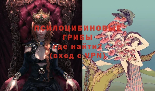 спайс Аркадак