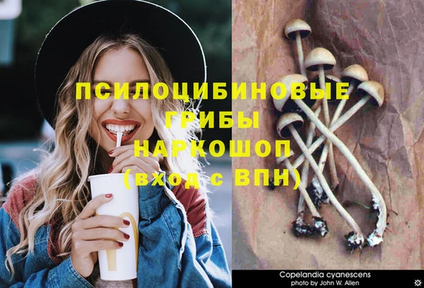 спайс Аркадак