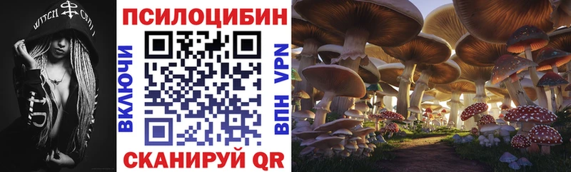 Псилоцибиновые грибы прущие грибы  наркошоп  Удачный 
